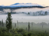 Early Morning Mist in Wells Grey Provincial Park  British Columbia  Canada  North America
