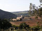 The Abbey of Sant'Antimo  Near Chianciano  Tuscany  Italy  Europe