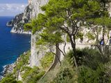 Cliffs Near Capri Town  Capri Island  Bay of Naples  Campania  Italy  Europe