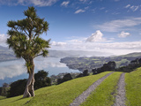 Otago Harbour  Otago Peninsula  Otago  South Island  New Zealand  Pacific