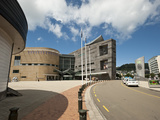 Te Papa Museum  Wellington  North Island  New Zealand  Pacific
