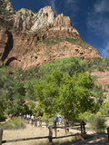 Zion National Park  Utah  United States of America  North America