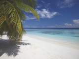 Empty Beach on Tropical Island  Maldives  Indian Ocean  Asia