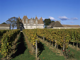 Chateau De Monbazillac and Vineyard Near Bergerac  Dordogne  Aquitaine  France  Europe