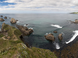 Nugget Point  Otago  South Island  New Zealand  Pacific