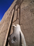 Horus Temple  Edfu  Egypt  North Africa  Africa