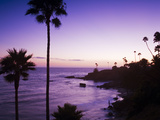 Heisler Park in Laguna Beach  Orange County  California  United States of America  North America
