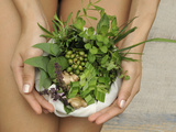 Ingredients of Herbal Compresses Including Camphor  Basil and Lemongrass  Used to Alleviate Muscula