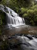 Purakaunui Falls  Southland  South Island  New Zealand  Pacific