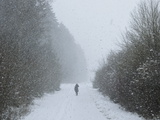 Winter Landscape  Near Villingen-Schwenningen  Black Forest  Baden-Wurttemberg  Germany  Europe