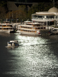 Paddle Steamers at Eagle Street Pier and Ferry Boat on Brisbane River in City Centre  Brisbane  Que