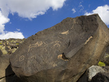 Petroglyph National Monument (Boca Negra Canyon)  Albuquerque  New Mexico  United States of America