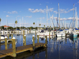Marina  St Petersburg  Gulf Coast  Florida  United States of America  North America