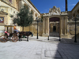Old Town of Mdina  Malta  Mediterranean  Europe