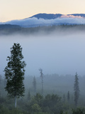 Early Morning Mist in Wells Grey Provincial Park  British Columbia  Canada  North America