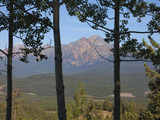 View of Pyramid Mountain Through Trees  Jasper National Park  UNESCO World Heritage Site  British C