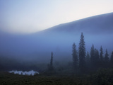Early Morning Mist in Wells Grey Provincial Park  British Columbia  Canada  North America