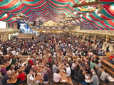 Beer Hall at the Stuttgart Beer Festival  Cannstatter Wasen  Stuttgart  Baden-Wurttemberg  Germany 