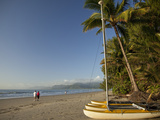 Four Mile Beach with Coconut Palm Trees  Port Douglas  Queensland  Australia  Pacific