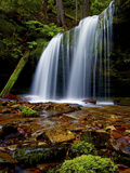 Fern Falls  Coeur D'Alene National Forest  Idaho Panhandle National Forests  Idaho  United States o