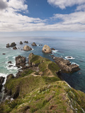 Nugget Point  Otago  South Island  New Zealand  Pacific