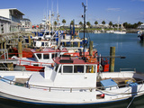 Inner Harbour  Gisborne  Eastland District  North Island  New Zealand  Pacific
