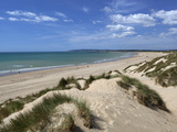 Camber Sands and Sand Dunes  Camber  East Sussex  England  United Kingdom  Europe