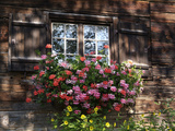 House in Gerstruben Near Oberstdorf  Allgau  Bavaria  Germany  Europe