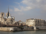 Ile De La Cite and Notre Dame Cathedral  Paris  France  Europe