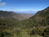 Parque Nacional De Garajonay  UNESCO World Heritage Site  Gomera  Canary Islands  Spain  Europe