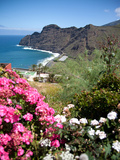 Mountain Landscape  La Gomera  Canary Islands  Spain  Atlantic  Europe