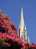The First Church  Dunedin  Otago  South Island  New Zealand  Pacific