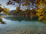 Autumn Colours at Alpine Alpsee Lake  Schwangau  Bavaria  Germany  Europe