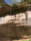 Lower Emerald Pool  Zion National Park  Utah  United States of America  North America