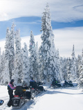 Snowmobilers in a Hoar Frosted Forest on Two Top Mountain  West Yellowstone  Montana  United States