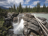 Athabasca Falls  Jasper National Park  UNESCO World Heritage Site  British Columbia  Rocky Mountain