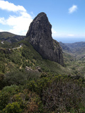 Parque Nacional De Garajonay  UNESCO World Heritage Site  Gomera  Canary Islands  Spain  Europe