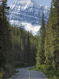 Road to Mount Edith Cavell  Jasper National Park  UNESCO World Heritage Site  British Columbia  Roc