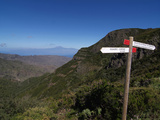 Parque Nacional De Garajonay  UNESCO World Heritage Site  Gomera  Canary Islands  Spain  Europe