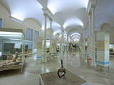 Museum of Natural Science  Karlsruhe  Baden-Wurttemberg  Germany  Europe