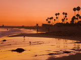 Sunset at Corona Del Mar Beach  Newport Beach  Orange County  California  United States of America 