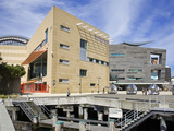 Te Papa Museum  Wellington  North Island  New Zealand  Pacific