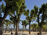 Tree Lined Promenade Area in the Bastide Town of Domme  One of Les Plus Beaux Villages De France  D