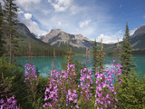 Emerald Lake  Yoho National Park  UNESCO World Heritage Site  British Columbia  Rocky Mountains  Ca