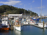 Inner Harbour  Gisborne  Eastland District  North Island  New Zealand  Pacific