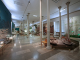 Museum of Natural Science  Karlsruhe  Baden-Wurttemberg  Germany  Europe