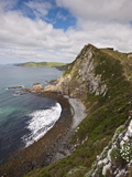 Nugget Point  Otago  South Island  New Zealand  Pacific
