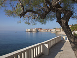 View of Old Town Dubrovnik from Terrace of Excelsior Hotel  Dubrovnik  Croatia  Europe