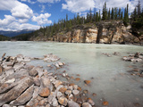 Upper Athabasca River Near Athabasca Falls  Jasper National Park  UNESCO World Heritage Site  Briti