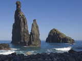 Lava Rock Columns Thrusting Upwards Out the Ocean Floor  Northern Madeira  Portugal  Atlantic Ocean